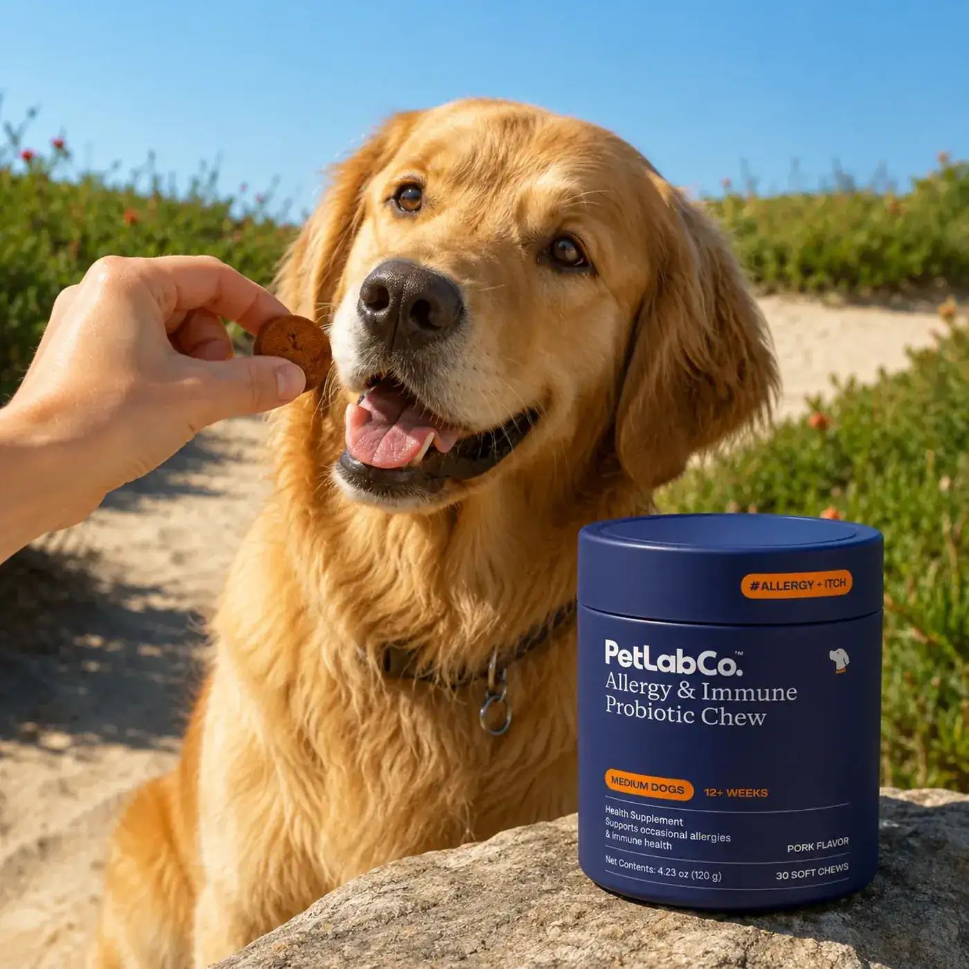 Lifestyle · in-context — AdVon enriched product media example